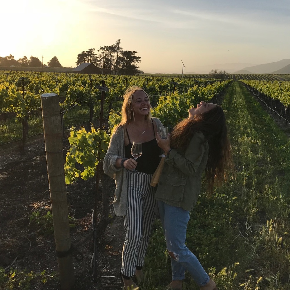 Meet your Posher, Riley - Picture 3 of 3